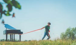 Newsletter | January 2017